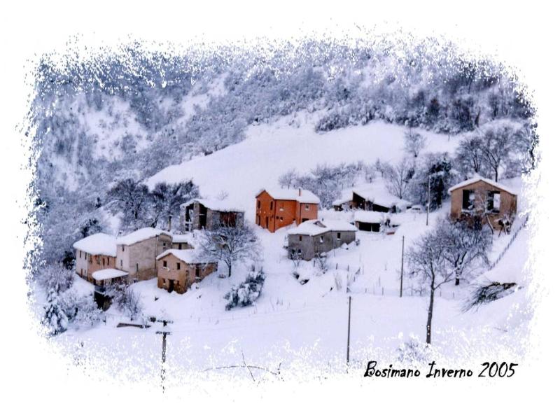 Agriturismo Bosimano image