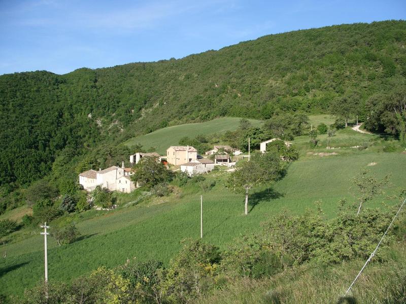 Agriturismo Bosimano image