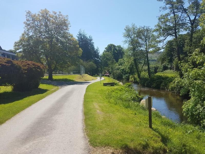 Llwyngwair Manor image