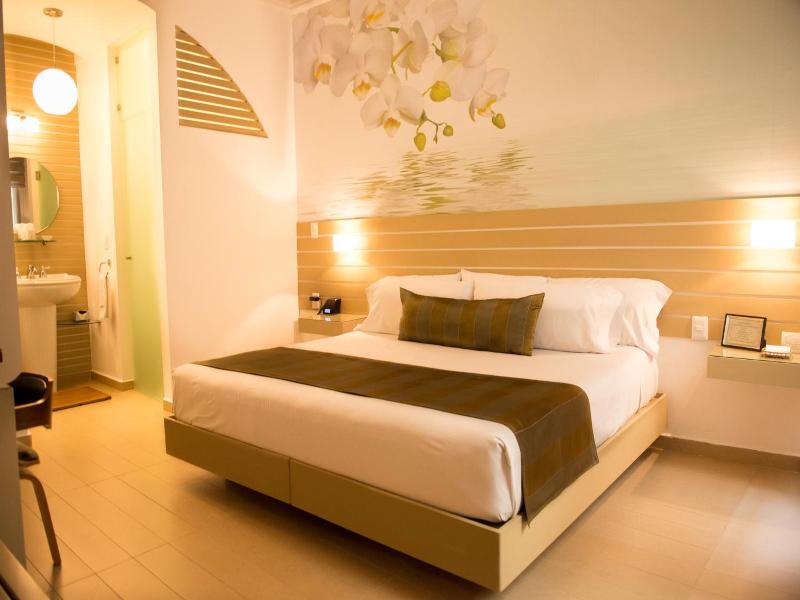 Grand Hotel Boutique Tepatitlán image