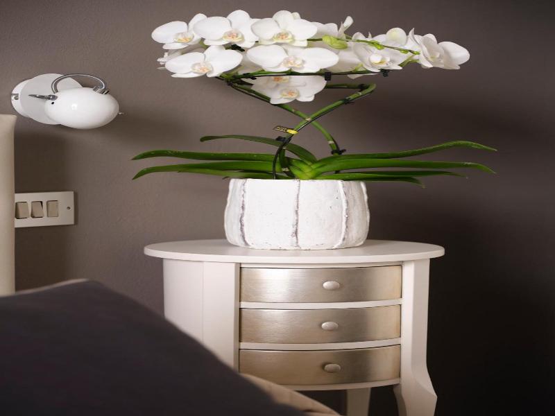 Albergo Sole image