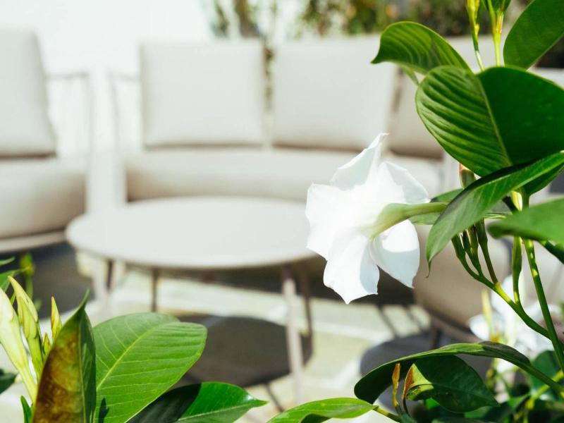 Albergo Sole image