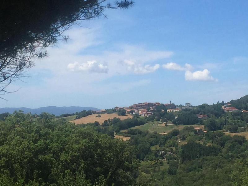 B&B Podere Camaiano image