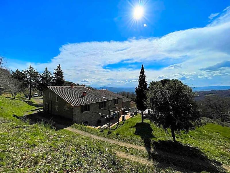 B&B Podere Camaiano image