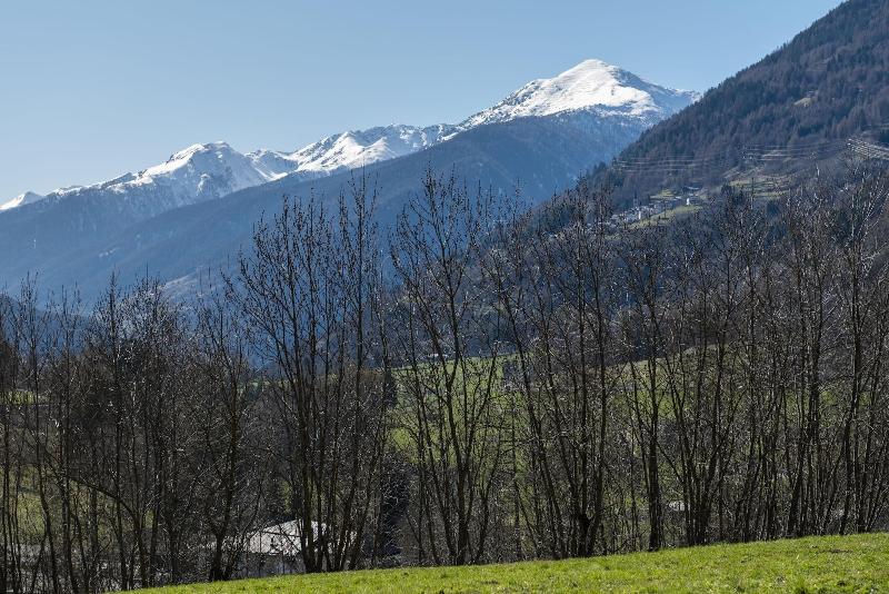 La Betulla — general view