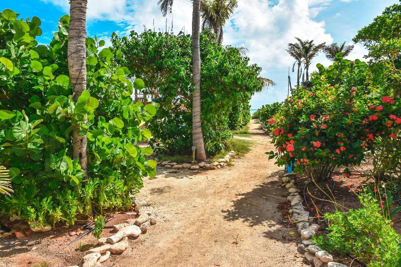 Sorobon Beach Resort & Wellness image