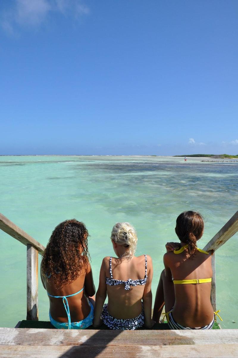 Sorobon Beach Resort & Wellness image