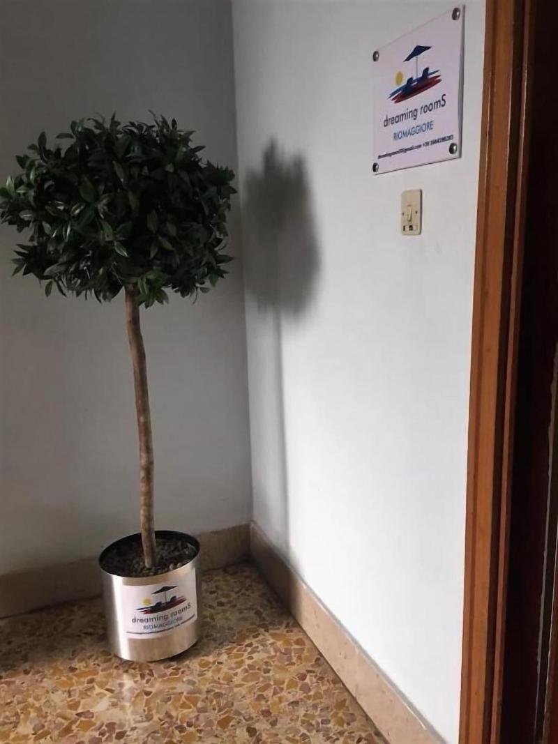 Dreaming Rooms image