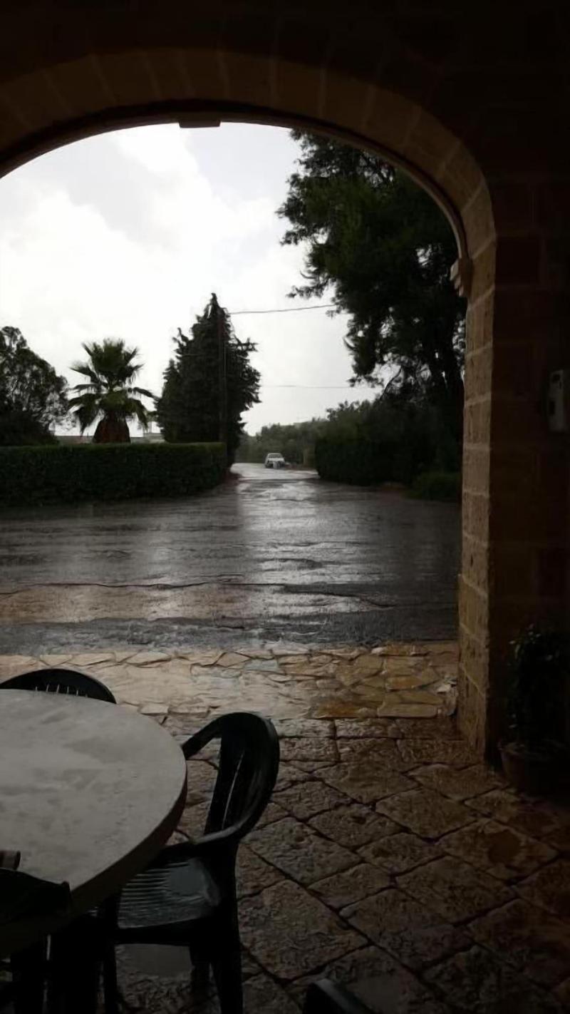 Tenuta Cavalieri image