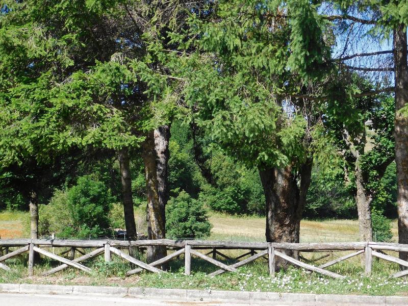 La Locanda Sul Lago image