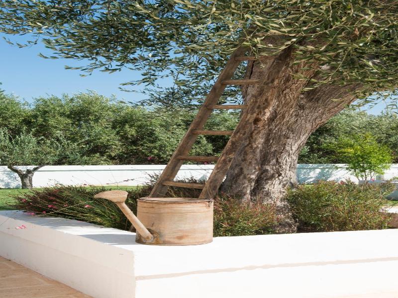 Masseria Le Torri image