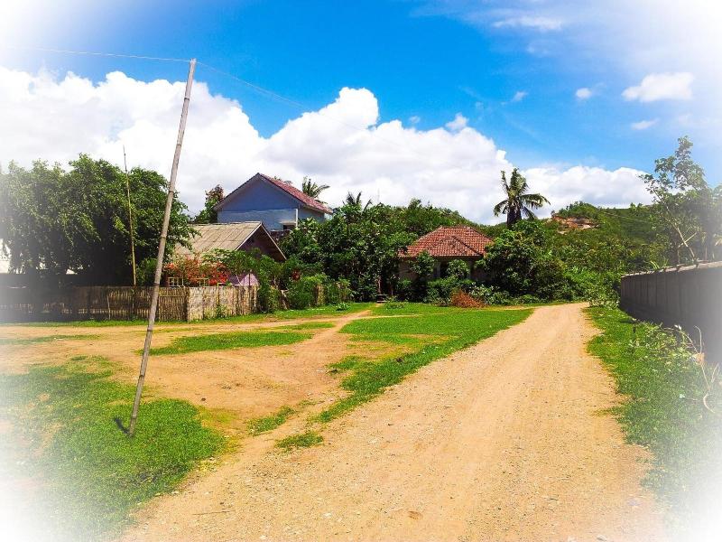 Lazy Inn Kuta Lombok — photo 4