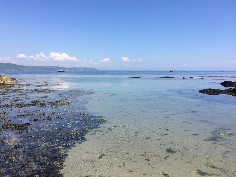 Seaview image