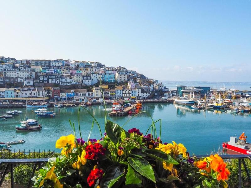 Harbour View image