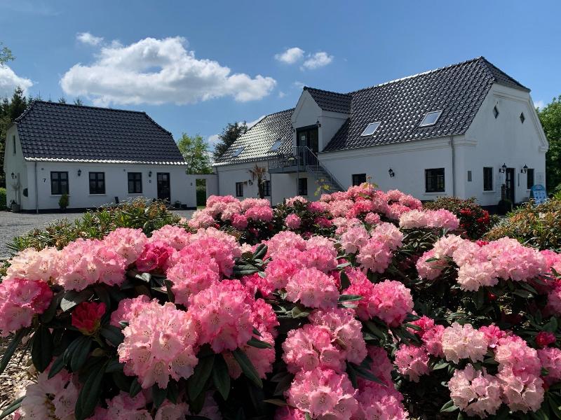 Hedegaarden image