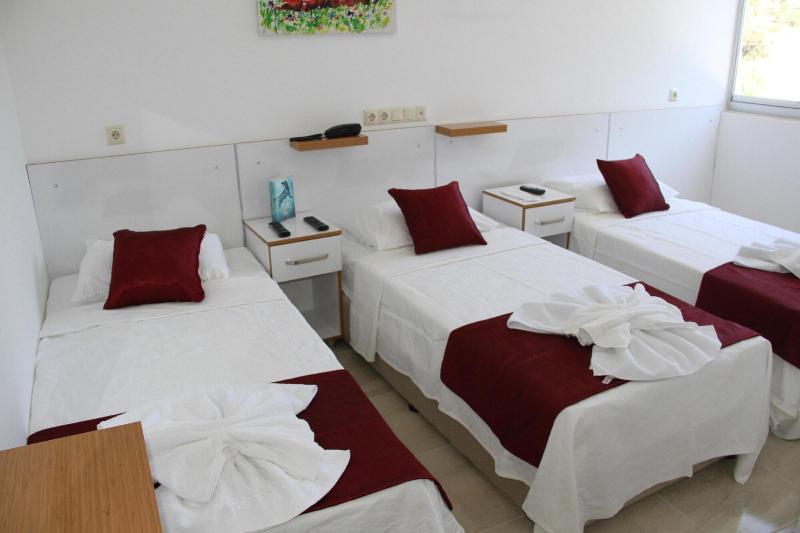 Aelbistan Otel image