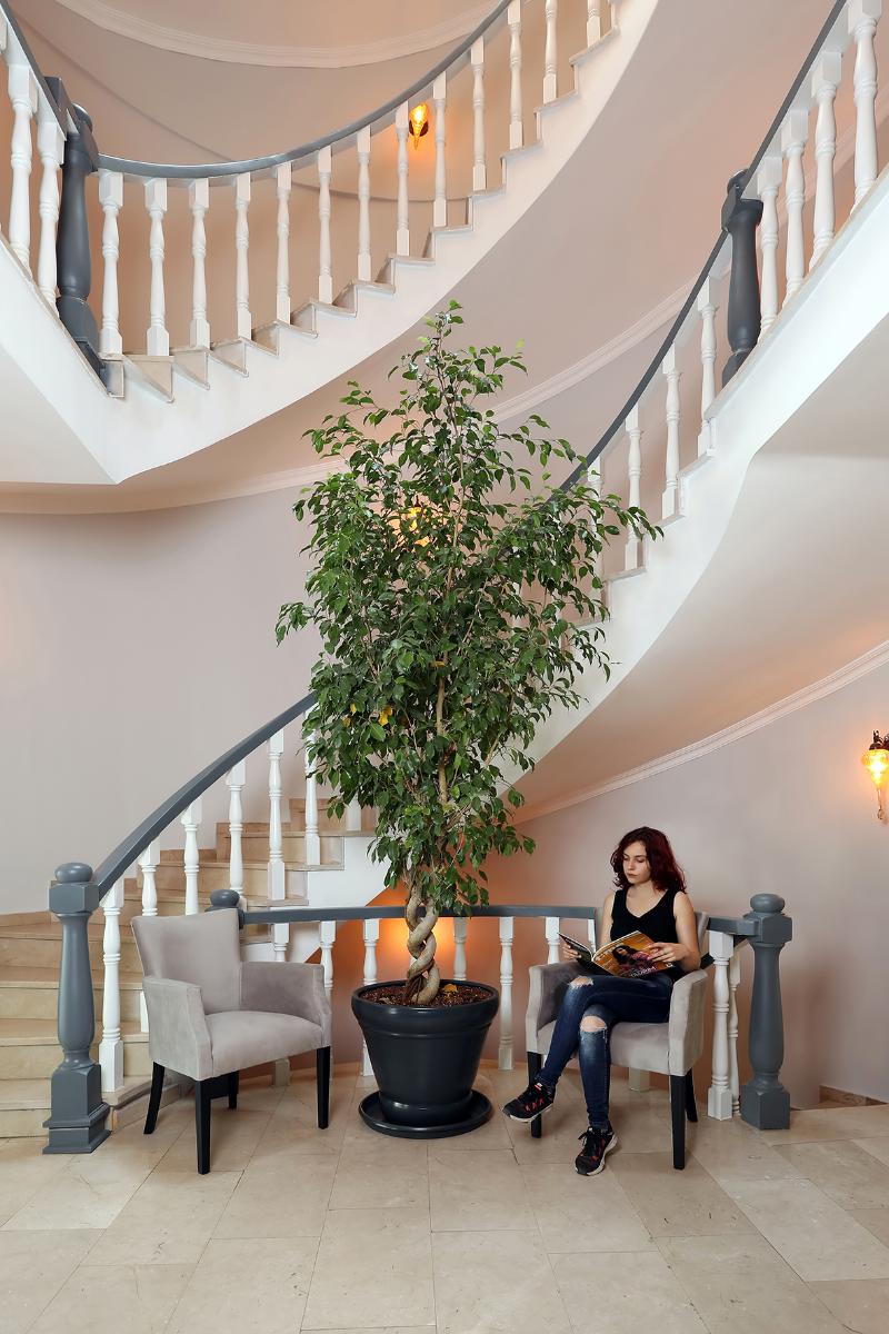 Didi Otel image