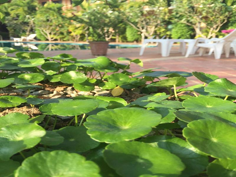 Siam Tara Resort