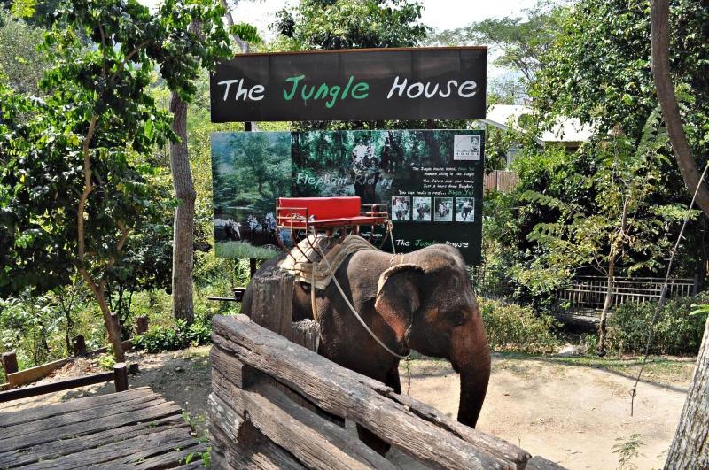 The Jungle House Khaoyai