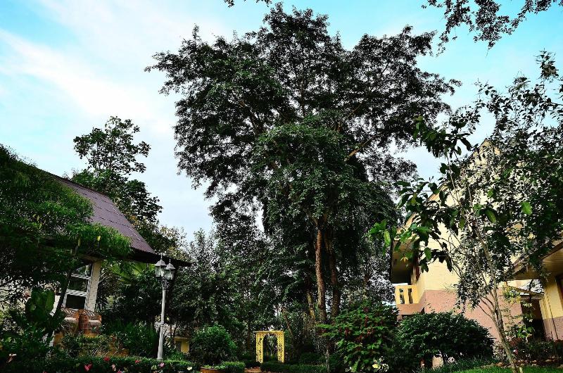 Moosi Yard Hometel Khaoyai