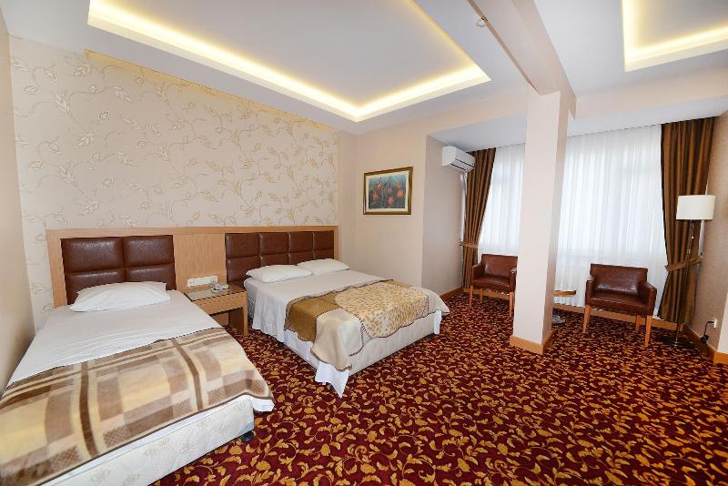 Hotel Grand Umit image