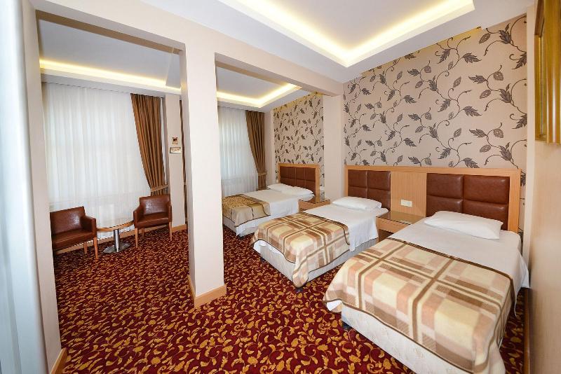 Hotel Grand Umit image