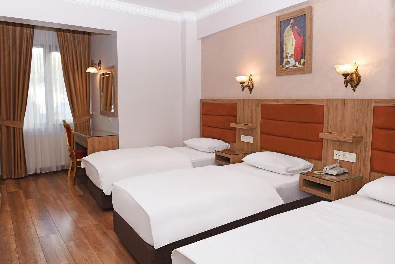 Hotel Grand Umit image