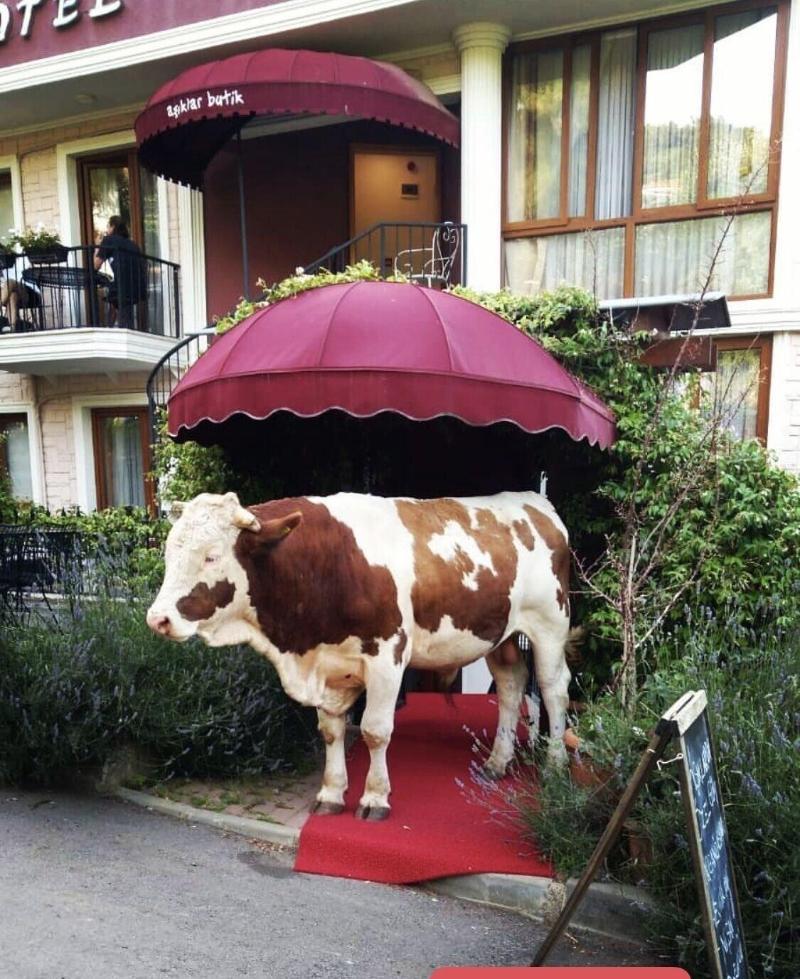 Asiklar Butik Otel image
