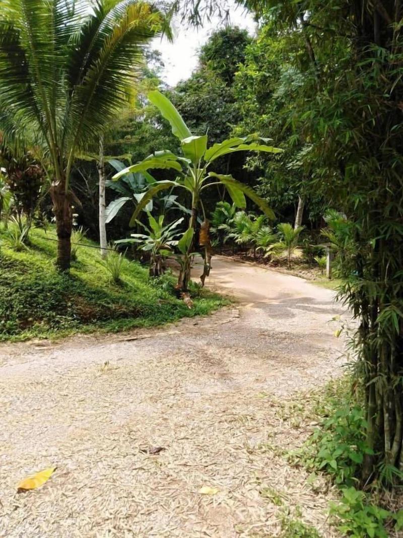 Khaosok River Camp image