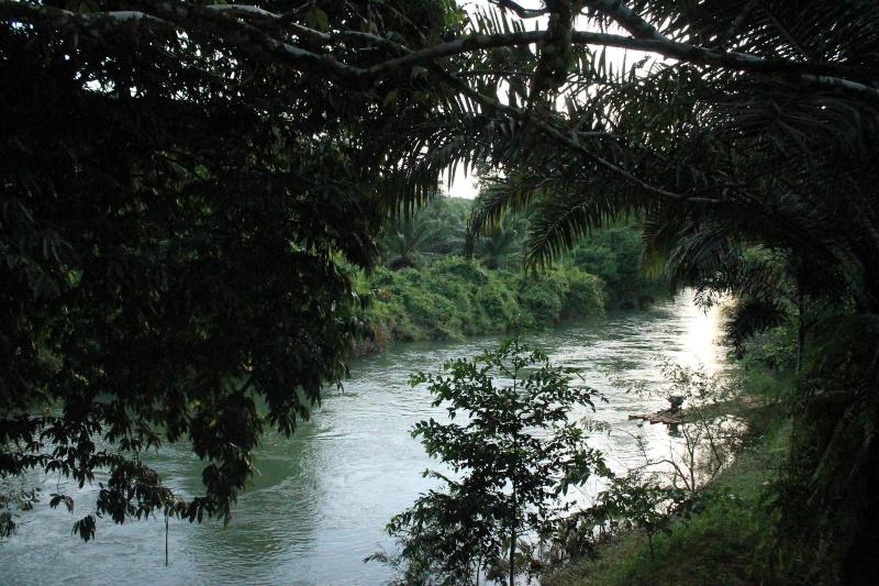 Khaosok River Camp image