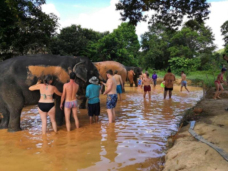 Khaosok River Camp image