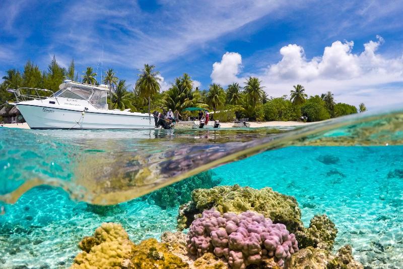 Ninamu Resort - All Inclusive image