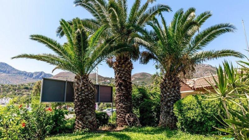 Palmetto Resort Hotel image