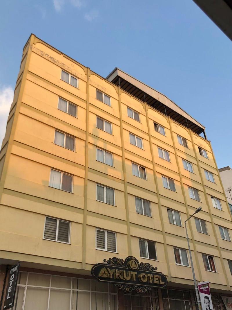 Aykut Palace Otel image