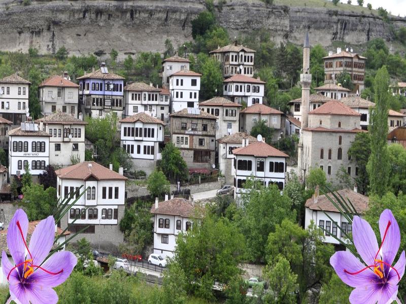 Arifbey Konak Hotel image