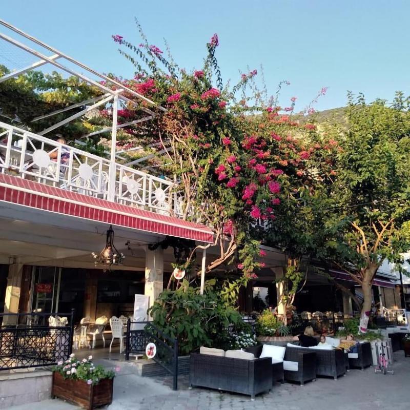 Seyir Beach Hotel image
