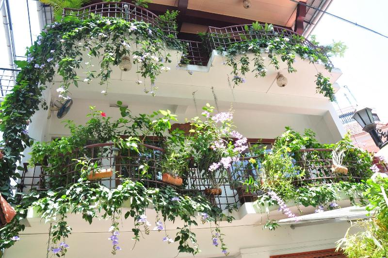 Reds Residency - Homestay image