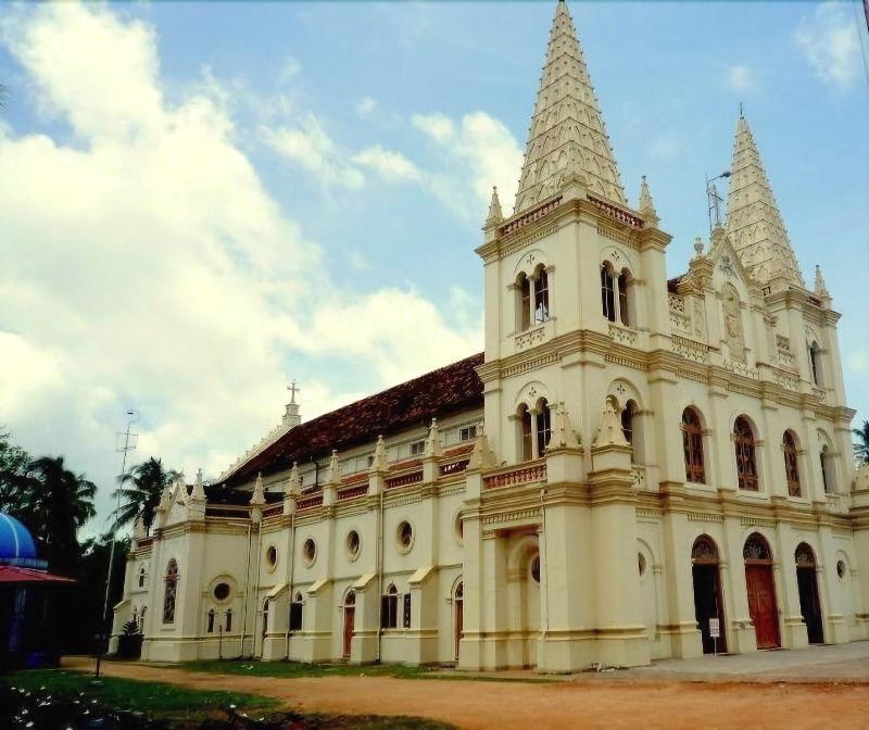 Reds Residency - Homestay image