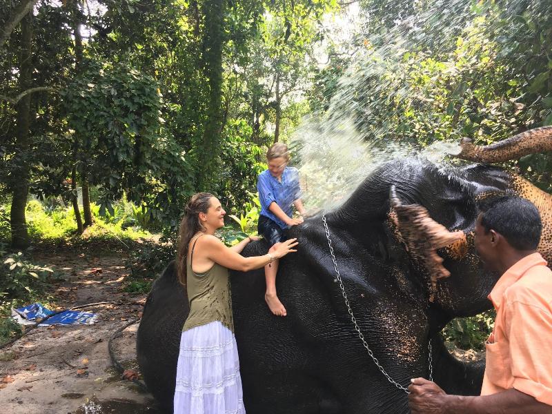 Reds Residency - Homestay image