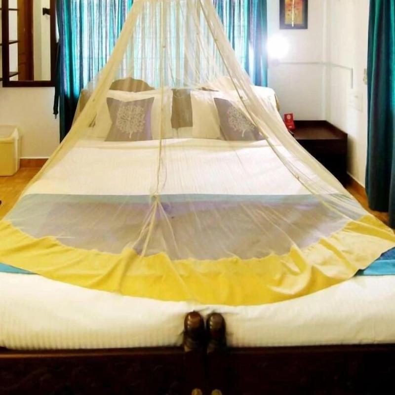Reds Residency - Homestay image