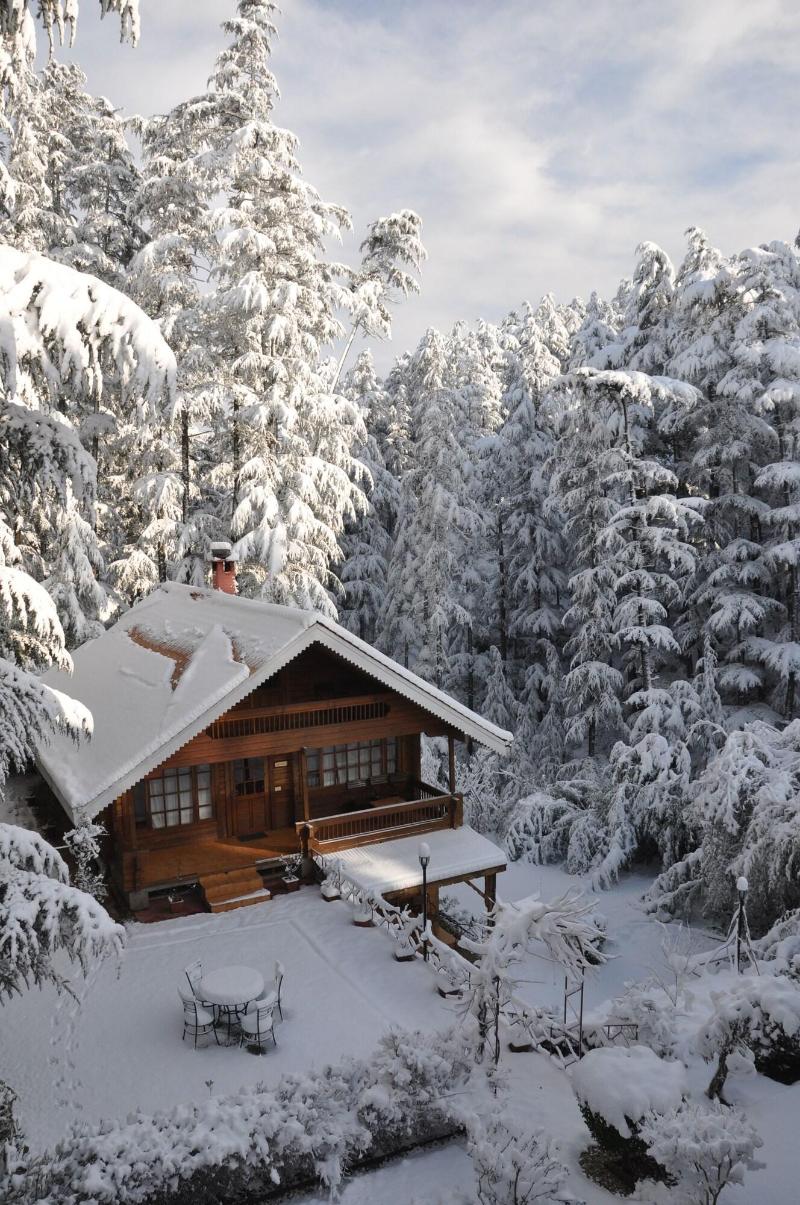 The Chalets Naldehra image