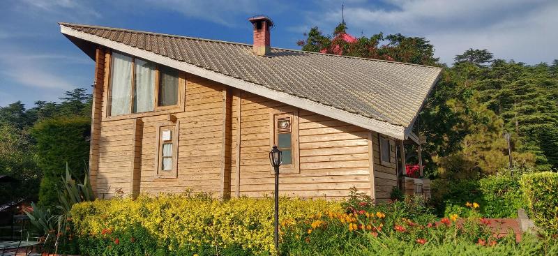 The Chalets Naldehra image