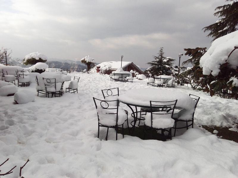 The Chalets Naldehra image