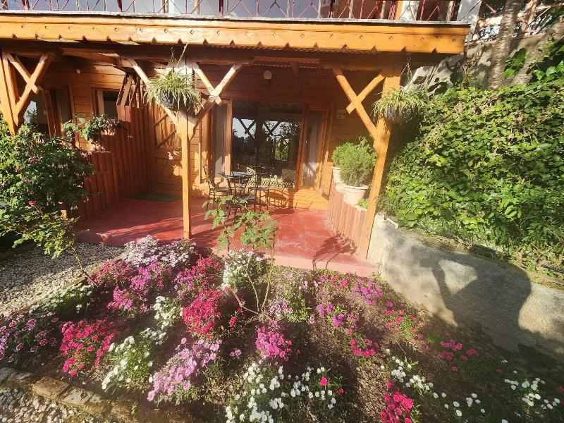 The Chalets Naldehra image