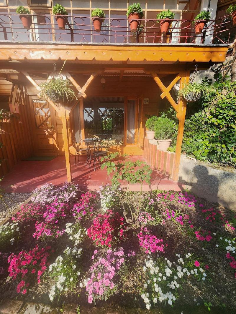 The Chalets Naldehra image