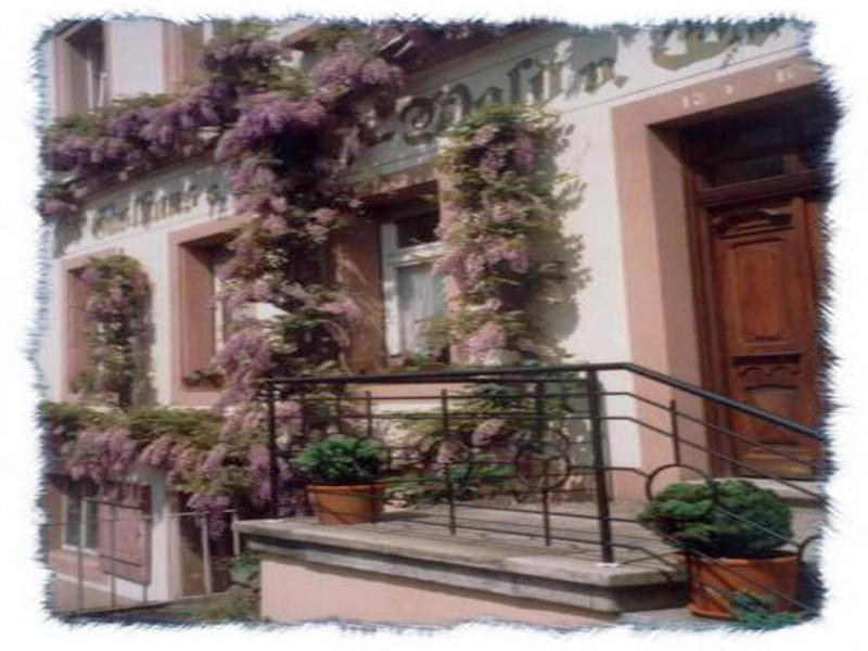 Gasthaus Neupert image