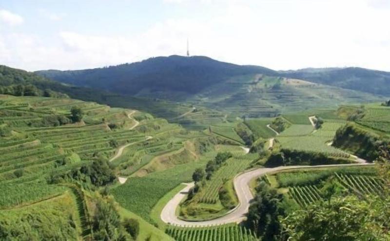 Landgasthof Zum Lamm image