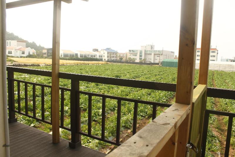 Gillime Pension Guesthouse - Hostel image