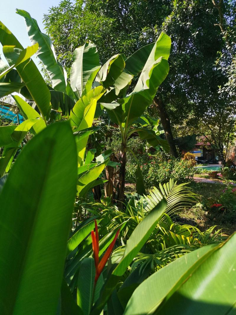 La Belle Vie Tam Coc Homestay image