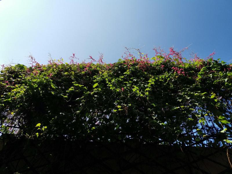 La Belle Vie Tam Coc Homestay image